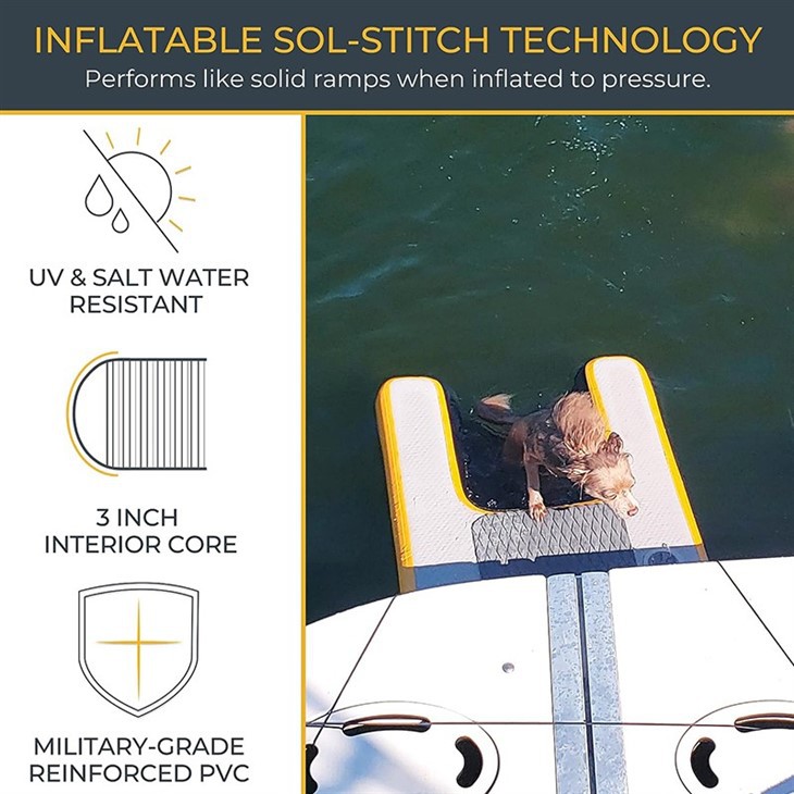 Dog Swim Ramp